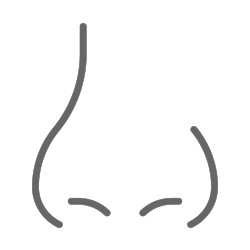 鼻の診療